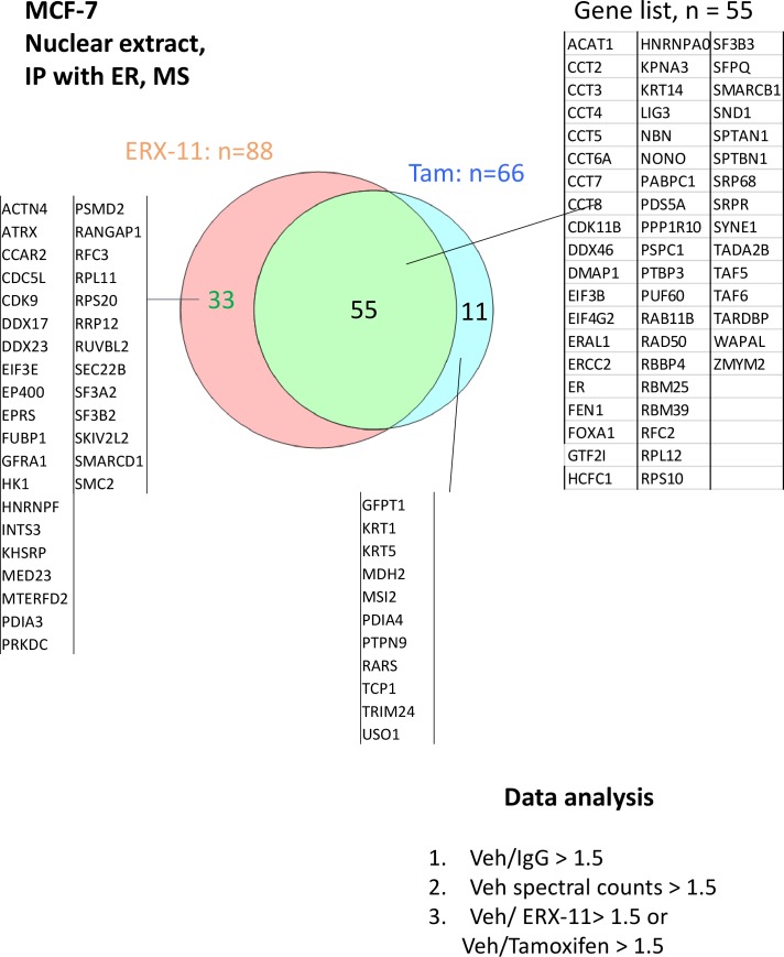 Figure 2—figure supplement 3.