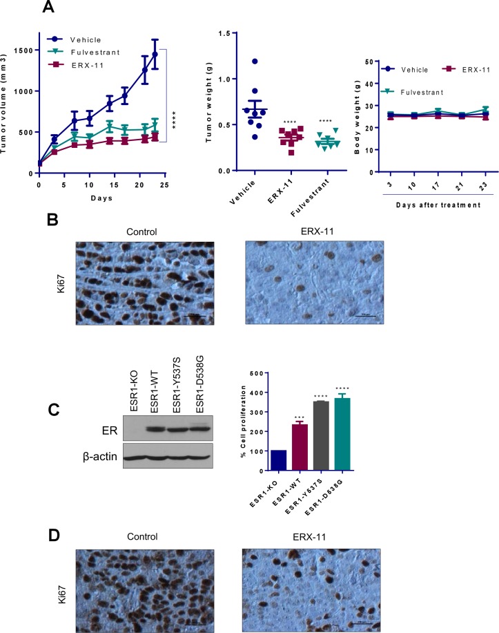 Figure 6—figure supplement 1.