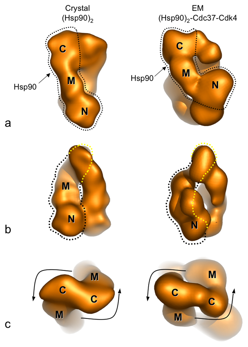 Figure 5