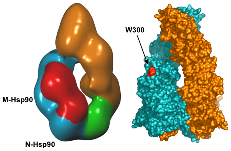 Figure 7