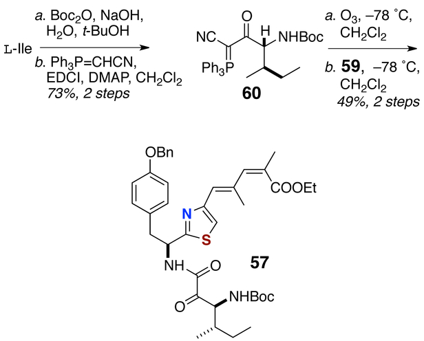 Scheme 12.