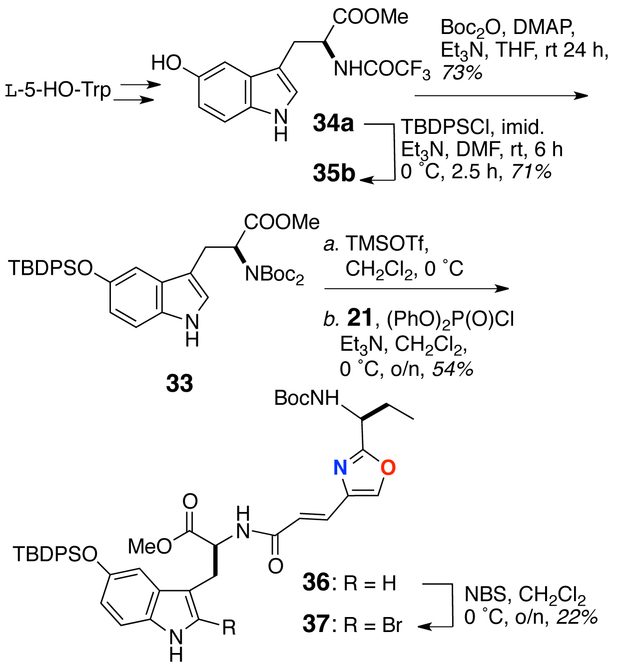 Scheme 4.