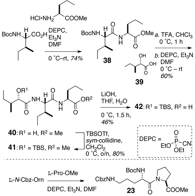 Scheme 5.