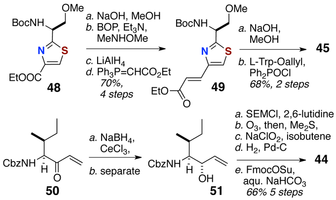 Scheme 7.