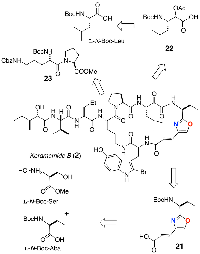 Scheme 1.