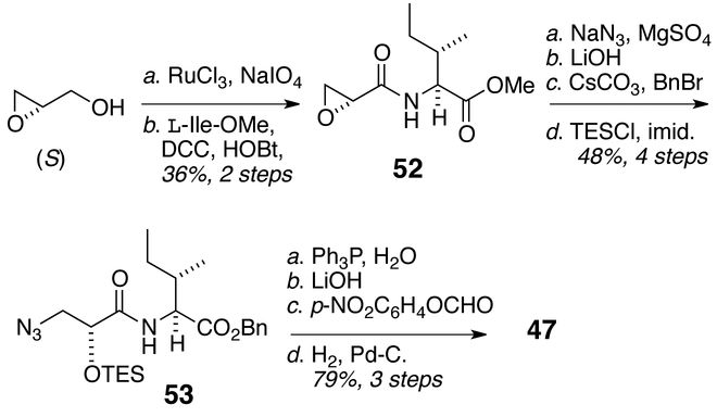 Scheme 8.