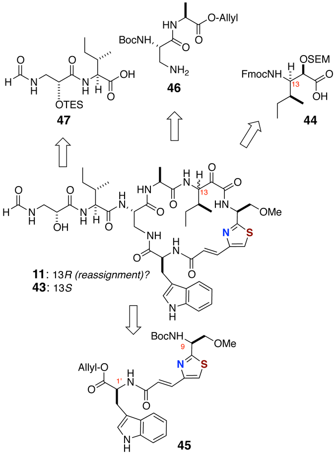 Scheme 6.