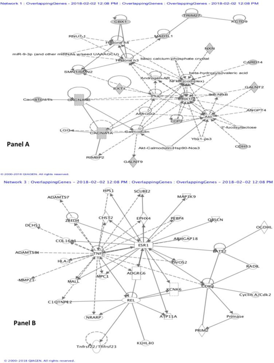 Figure 2: