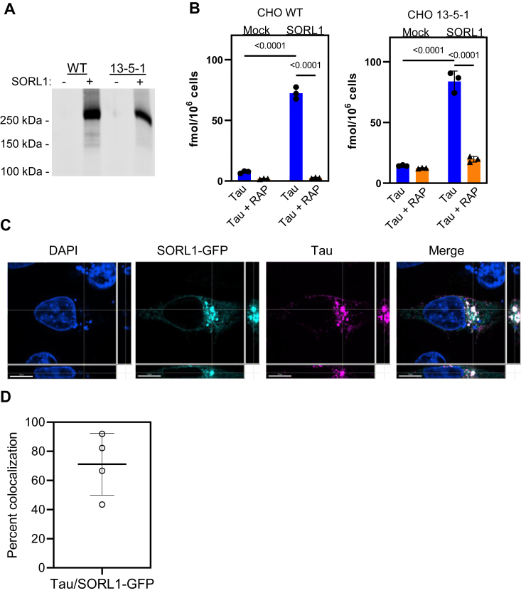 Figure 2