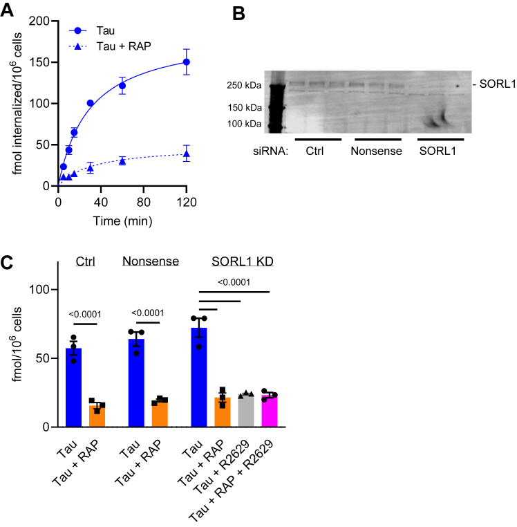 Figure 3