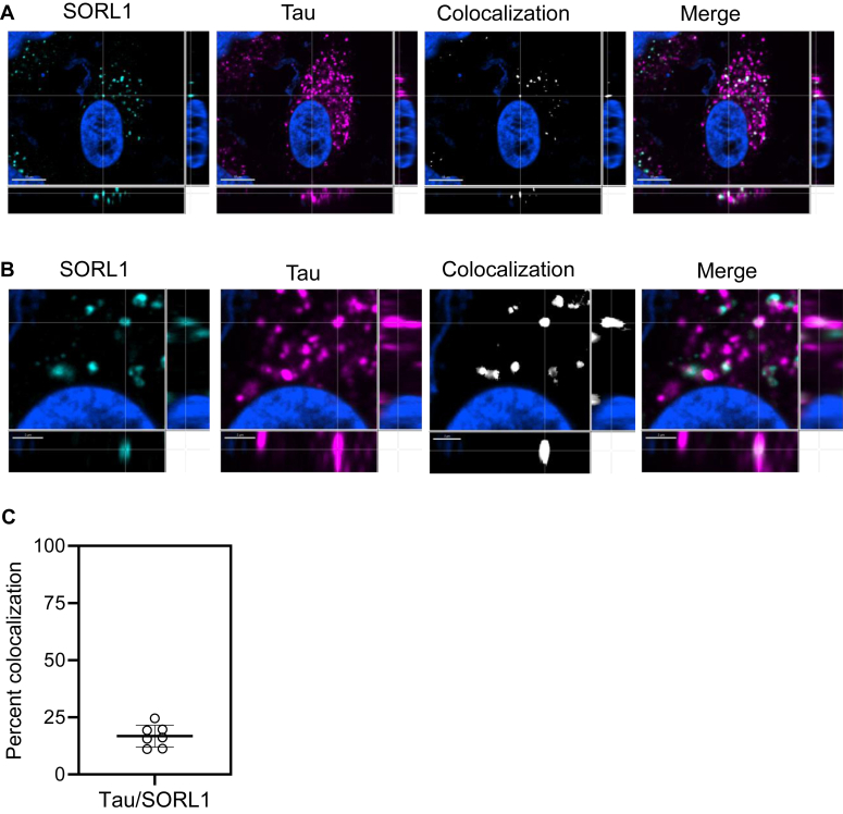 Figure 4