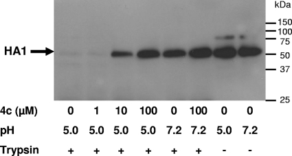 FIG. 4.