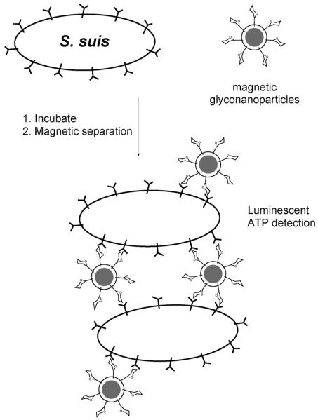 Fig. 13