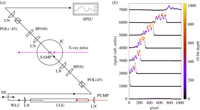 Figure 7.