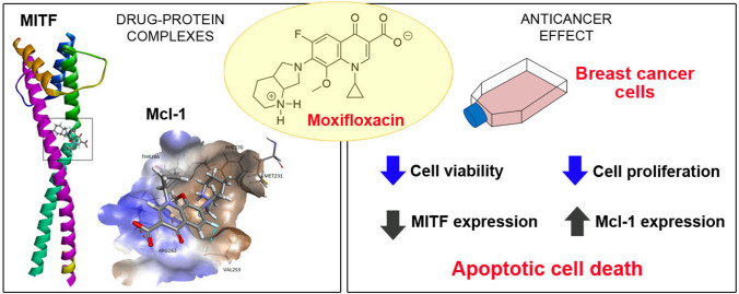 graphic file with name 43440_2022_407_Figa_HTML.jpg