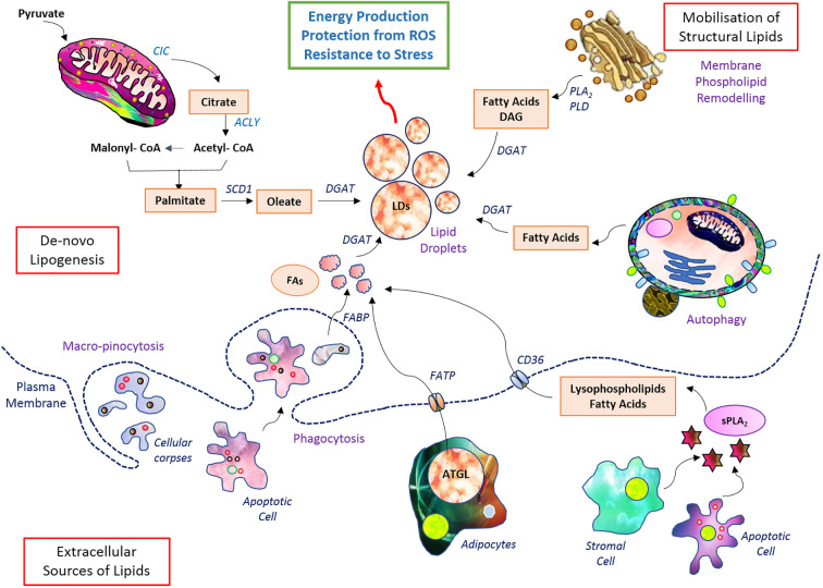 Figure 2