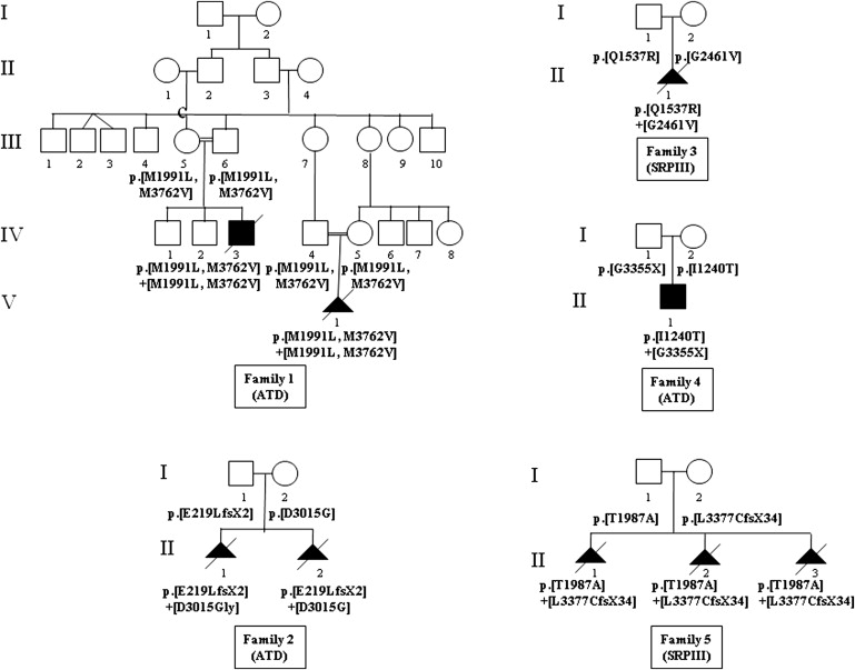 Figure 1