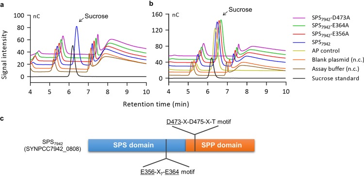 FIG 3