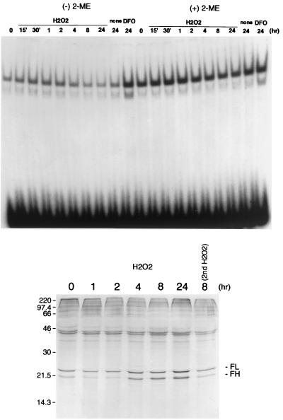 FIG. 5