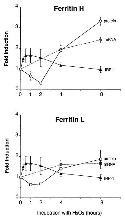 FIG. 6