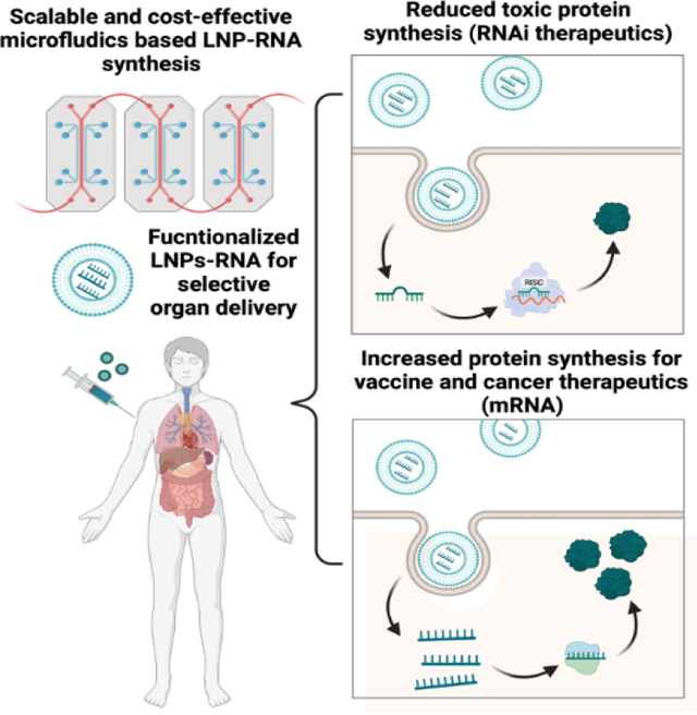 graphic file with name nihms-1792294-f0001.jpg