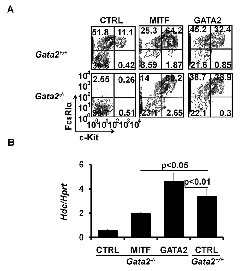 FIG 7.