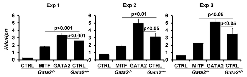 FIG E13.