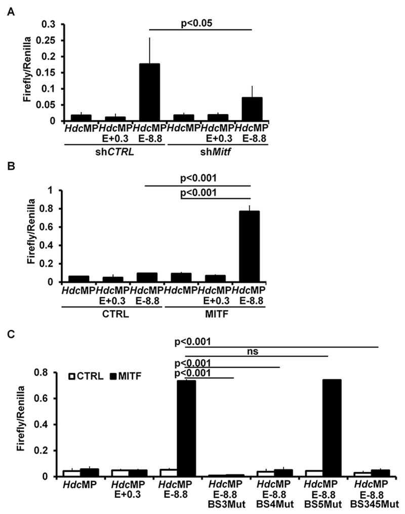 FIG 6.