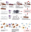 Fig. 2