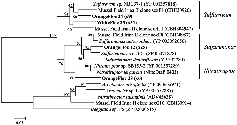 Figure 9