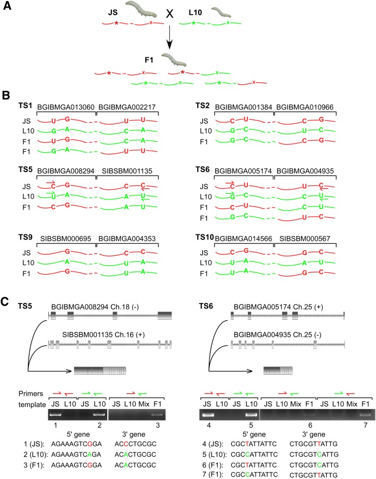 FIGURE 5.