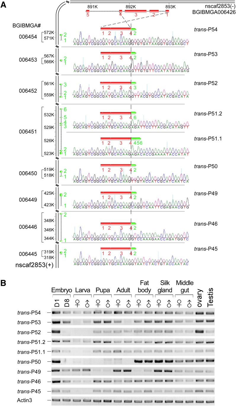 FIGURE 4.