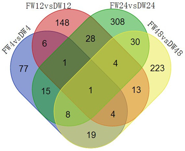 Fig 6