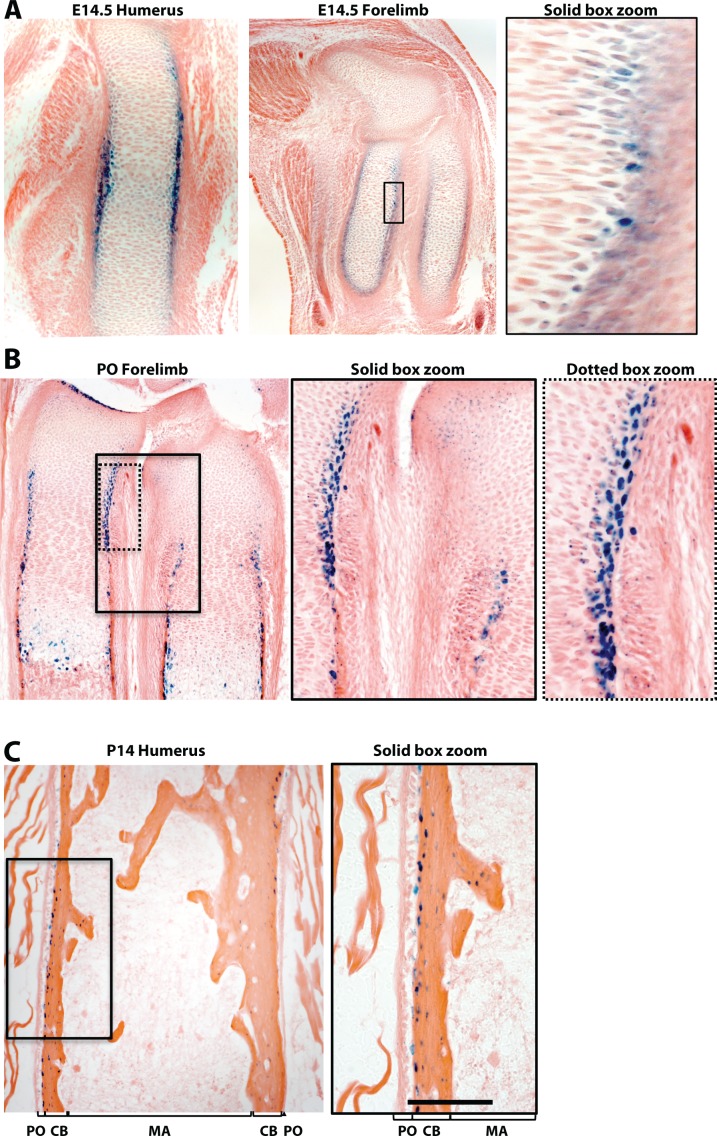 Figure 2—figure supplement 2.