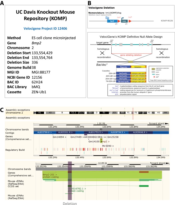 Figure 2—figure supplement 1.