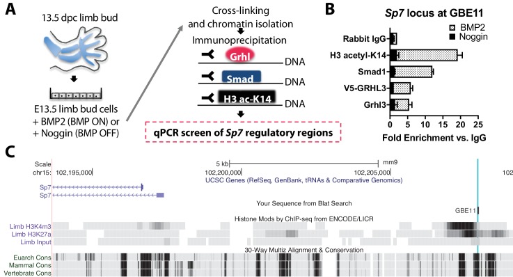 Figure 12.