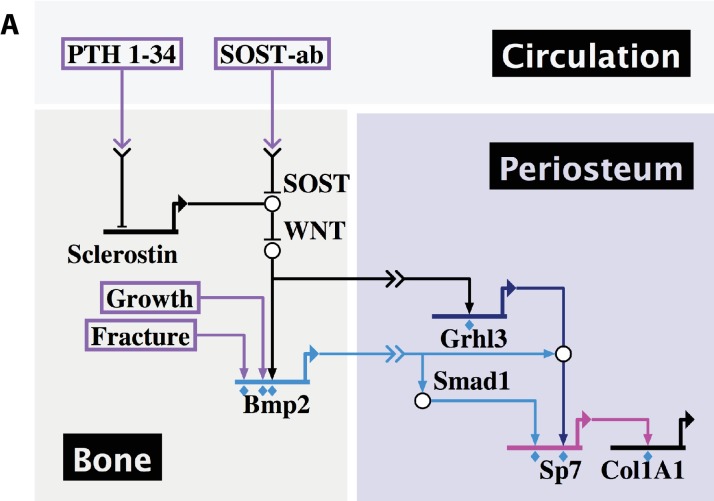 Figure 13.