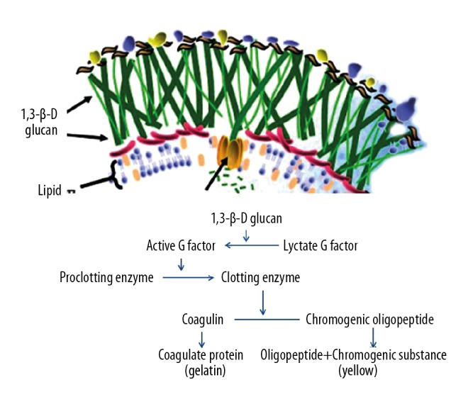 Figure 5.