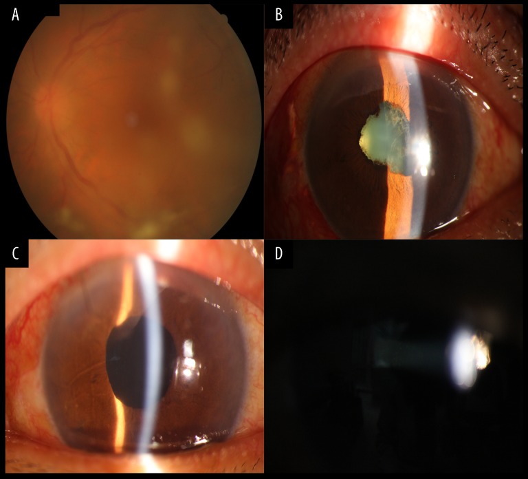 Figure 2.