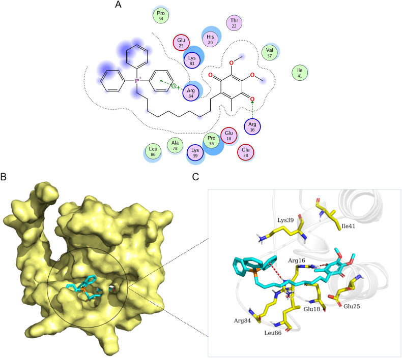 Fig. 8