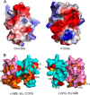 FIGURE 3.