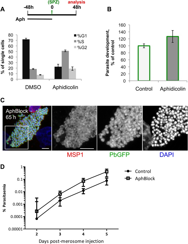 FIG 3