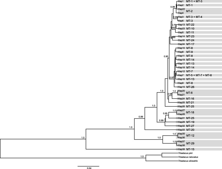 Fig. 2