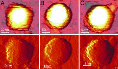 Fig. 2.