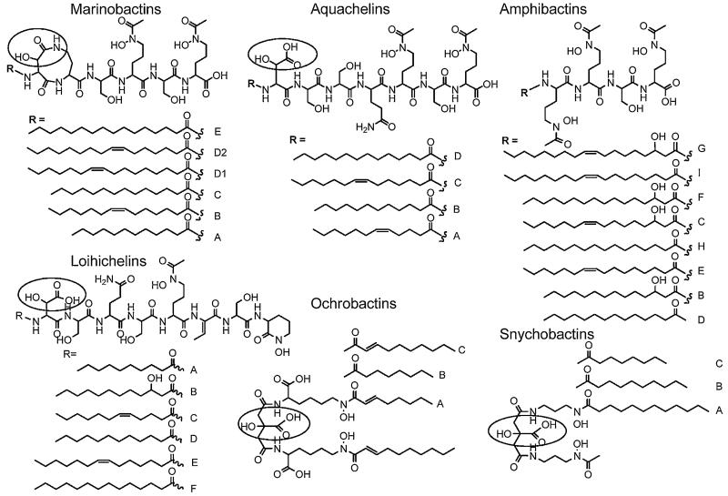 Fig. 7