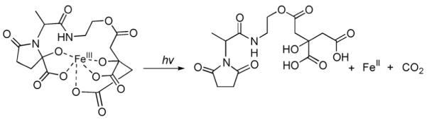 Fig. 11