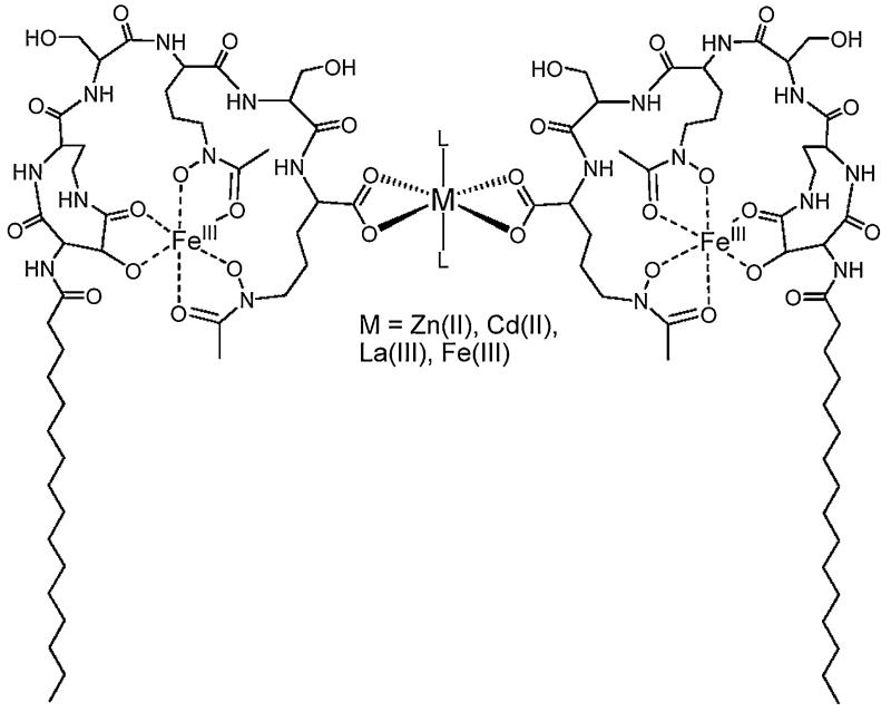 Fig. 17