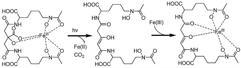 Fig. 10