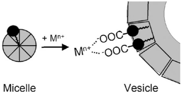 Fig. 18