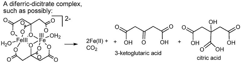 Fig. 12